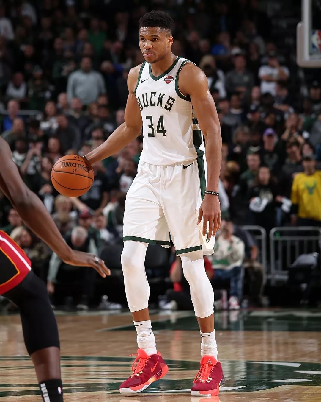 竞技宝-字母哥巅峰对决，蒂姆与70激战快船分钟，回归赛场胜负难料！的简单介绍